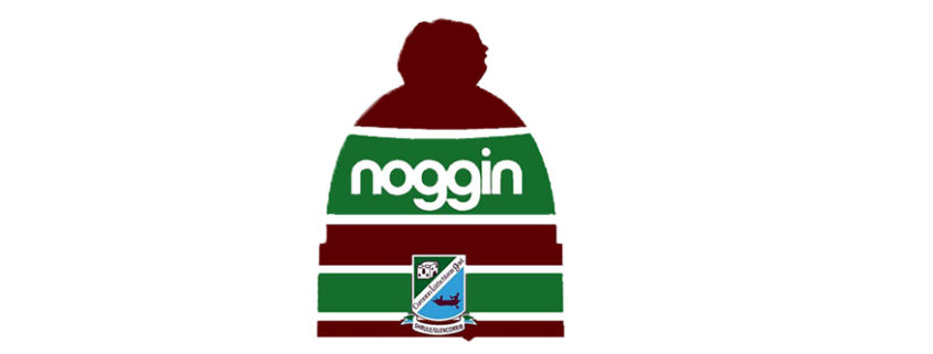 Noggin Bobble Hat